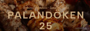 Palandoken 25